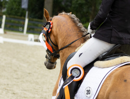 Inschrijving selecties Dutch Pony Championship 2024 geopend!