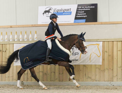 New Forest-pony Havehoeves Igo naar hoogste dagscore tijdens DPC springfinale